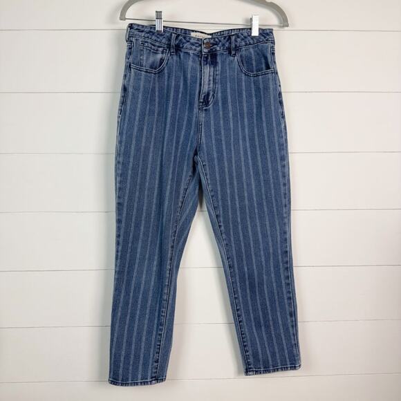 Pacsun Women's Medium-Wash White Striped 90s Y2K Zip Fly Mom Denim Jeans Size 28 - Picture 2 of 6